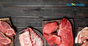 best raw meat for dogs - Dogs Naturally best raw meat for dogs